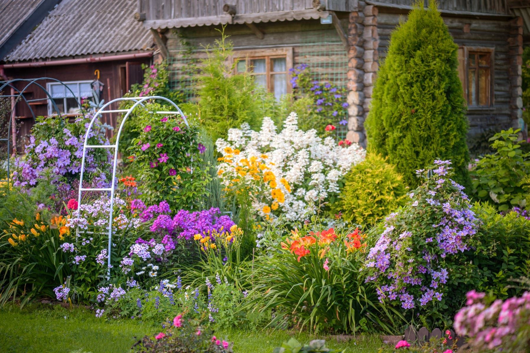 Garden Flowers