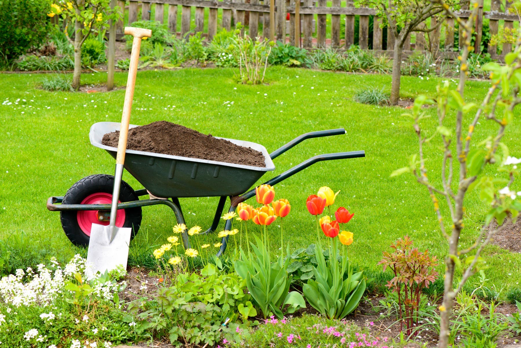 Wheelbarrow and shovel